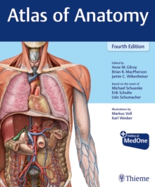 Image for Atlas of Anatomy