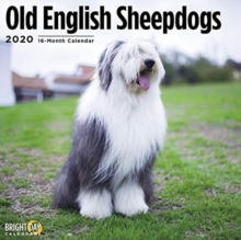 OLD ENGLISH SHEEPDOGS CAL 2020