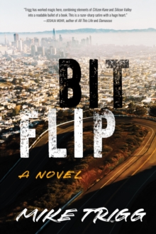 Bit Flip: A Novel