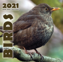 Image for Birds 2021 Mini Wall Calendar