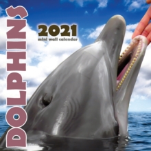 Image for Dolphins 2021 Mini Wall Calendar
