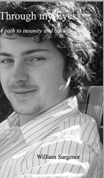 Through my Eyes: A path to insanity and back