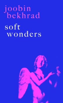 Image for Soft Wonders