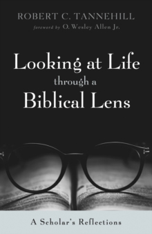Image for Looking at Life through a Biblical Lens: A Scholar's Reflections