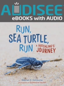 Image for Run, sea turtle, run: a hatchling's journey