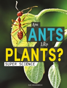 Image for Are Ants Like Plants?