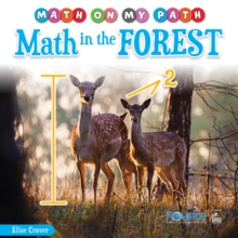Image for Math in the Forest