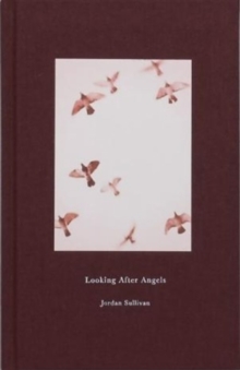 Image for Looking After Angels