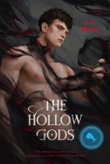 Image for Hollow Gods