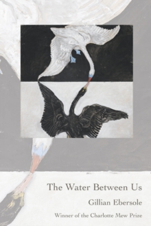 Image for The Water Between Us