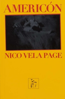 Image for Americon