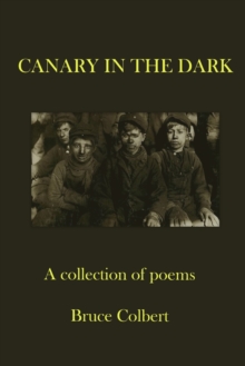 Image for Canary in the Dark
