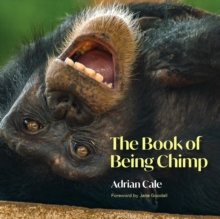 Image for The Book of Being Chimp