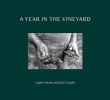 Image for A Year in the Vineyard