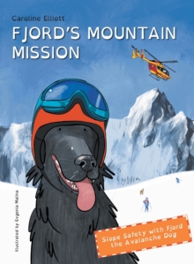 Image for Fjord's Mountain Mission