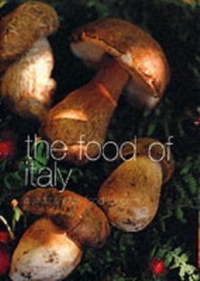 Image for Food of Italy  : a journey for food lovers