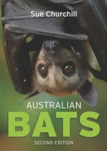 Image for Australian bats.