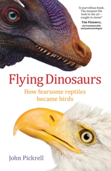 Image for Flying Dinosaurs
