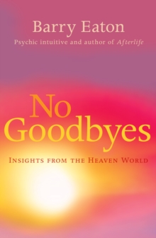 Image for No goodbyes  : insights from the heaven world