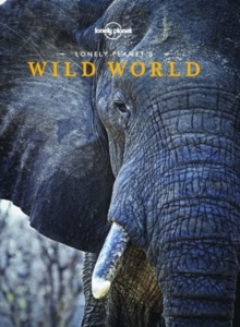 Image for Wild world.