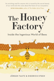 Image for The Honey Factory: Inside the Ingenious World of Bees