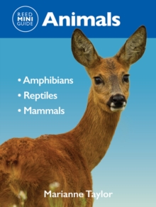 Image for Reed Mini Guide: Animals