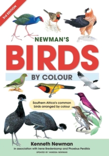 Image for Newman's Birds By Colour Southern Africa : Southern Africa's common birds arranged by colour
