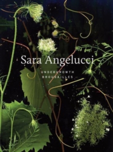 Image for Sara Angelucci: Undergrowth / Brousailles