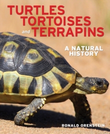 Image for Turtles, Tortoises and Terrapins: A Natural History