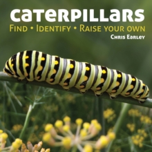 Image for Caterpillars : Find - Identify - Raise Your Own
