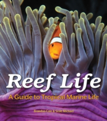 Reef Life