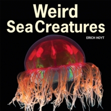 Image for Weird sea creatures