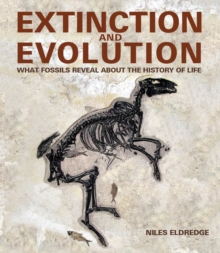 Image for Extinction and Evolution