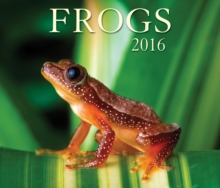 Image for Frogs 2016 Calendar