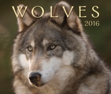 Image for Wolves 2016 Calendar