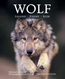 Image for Wolf  : legend, enemy, icon