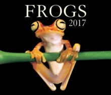 Image for Frogs 2017