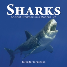 Image for Sharks: Ancient Predators in a Modern Sea