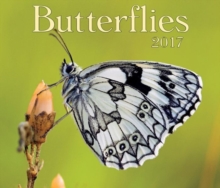 Image for Butterflies 2017