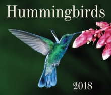 Image for Hummingbirds 2018