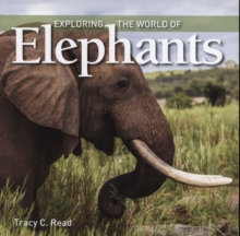 Exploring the World of Elephants
