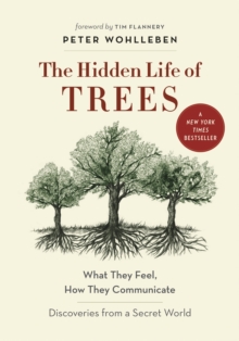 Image for The hidden life of trees  : what they feel, how they communicate - discoveries from a secret world