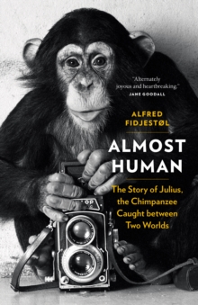 Image for Almost Human: The Story of Julius, the Chimpanzee Caught Between Two Worlds