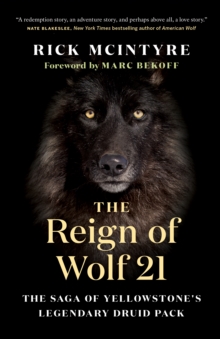 Image for The Reign of Wolf 21