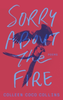 Image for Sorry About the Fire