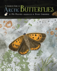 Image for A Children's Guide to Arctic Butterflies