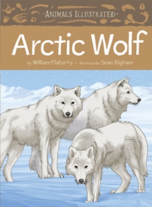 Image for Arctic wolf