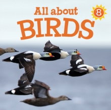 Image for All about Birds : English Edition