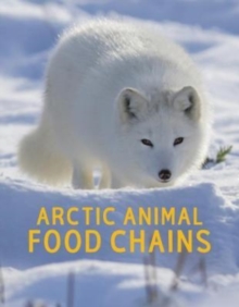 Image for Arctic Animal Food Chains