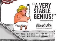 Image for A very stable genius